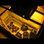 DSCF0058