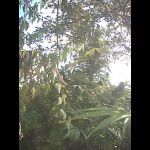Image2