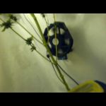 elec4